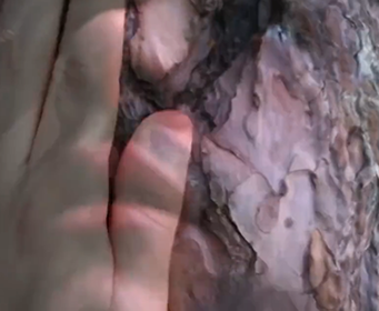 Video, frame 2 of 2