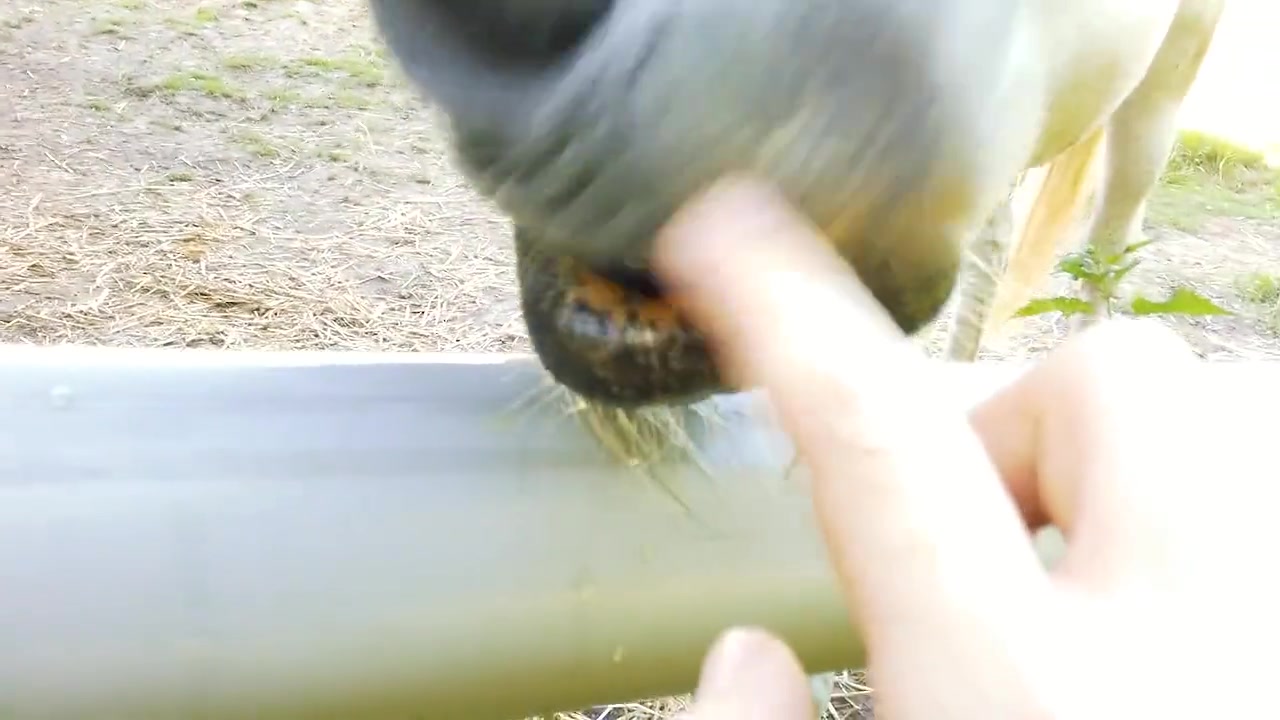 My Day: Personal Video Diary, still 5 of 6